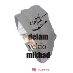 دانلود آهنگ محمد جواد امیری دلم یکیو میخواد